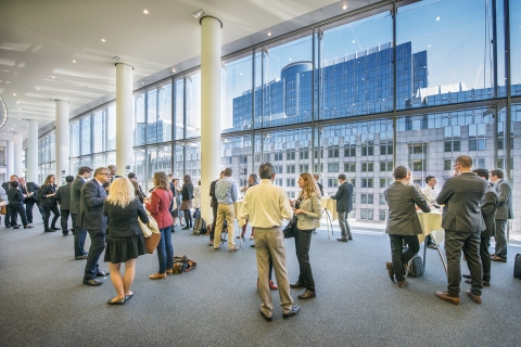 ThinkForest 2015