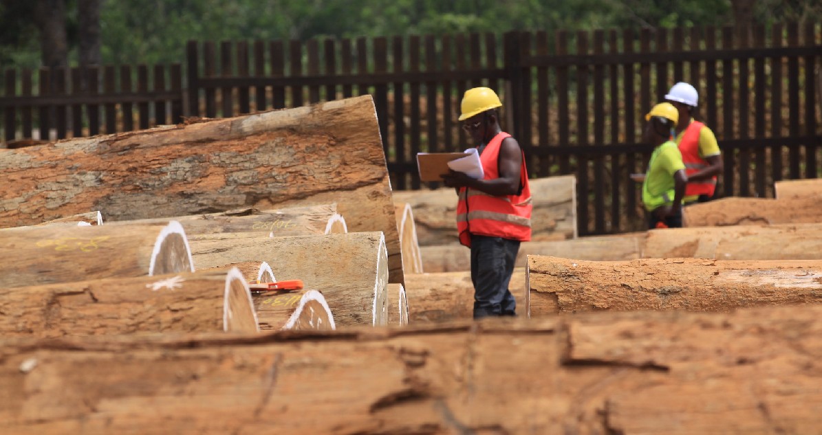 Timber logs and inspectors