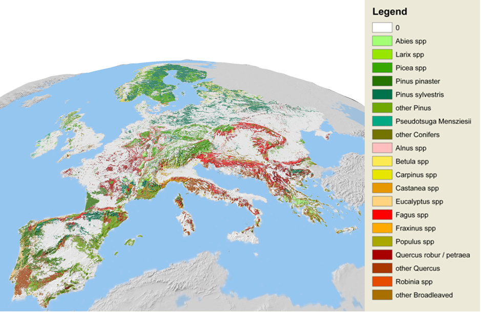 Figure 1: Aggregated results showing the dominant species at 1x1km